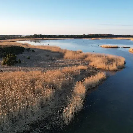 Kivika * Lahe