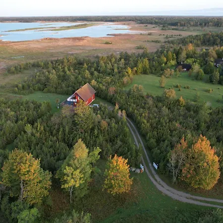 Kivika Holiday home
